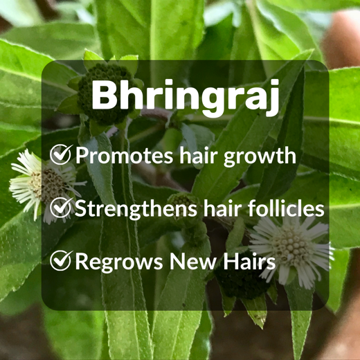 Herbs Magic Ayurvedic Kesh Kalpa Hair Mask | Complete Hair Care for increasing Hair Fall - Image 2