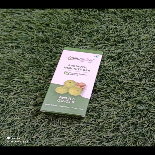 PROBIOTIC IMMUNITY BAR -     AMLA & GINGER Pack of 3 - Image 3