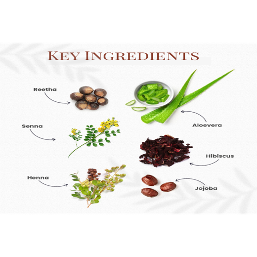 Derma Organic Gel Long Hair Color Light Brown 5N - Image 4