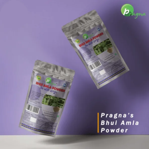 Pragna Bhui Amla powder is 100% pure and naturals. Bhui Amla powder helps in the management of digestive issues such as acidity. - Image 4