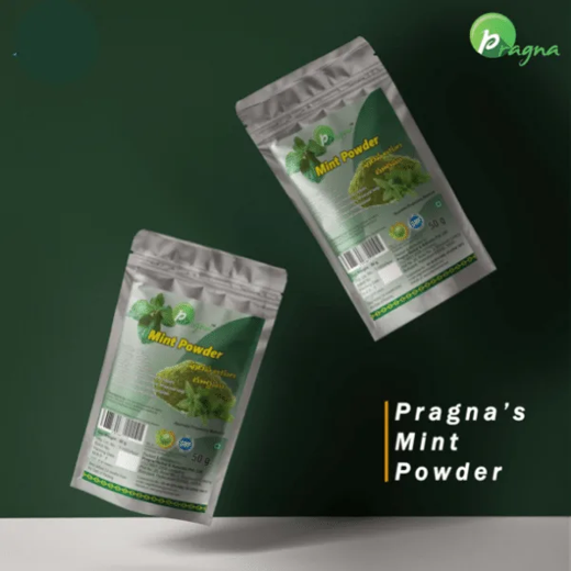 Pragna Mint Powder is 100% Pure and natual.It Helps To Improve Brain Power and Boosts your immune system. - Image 2