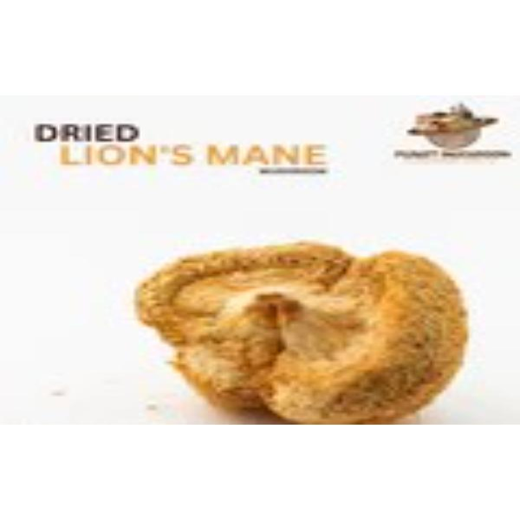 Dried Lions Mane Mushroom (whole body) - Image 2
