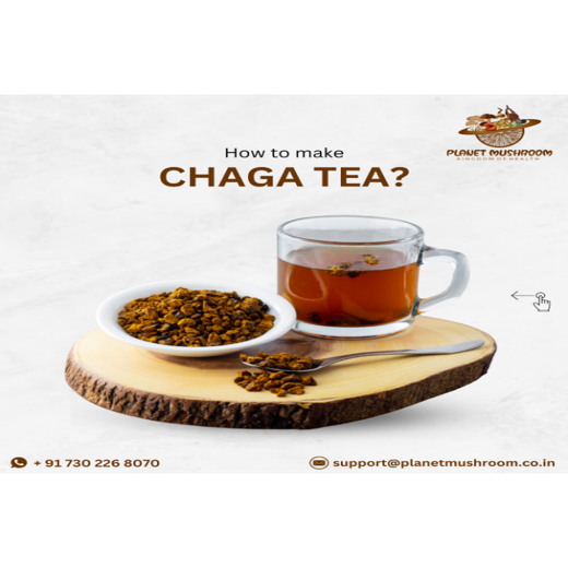 Chaga Mushroom Powder - Image 2
