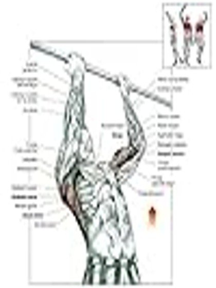 pull up bar