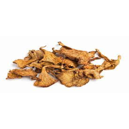 Chanterelle Dried Mushroom