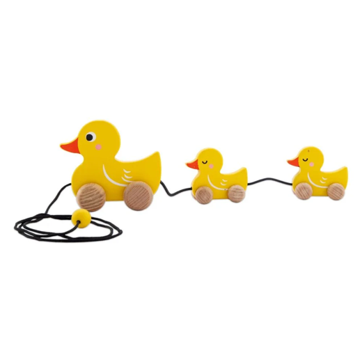 FLYI - Pull Along Play Duck Family Toy for Kids (1+ Years)